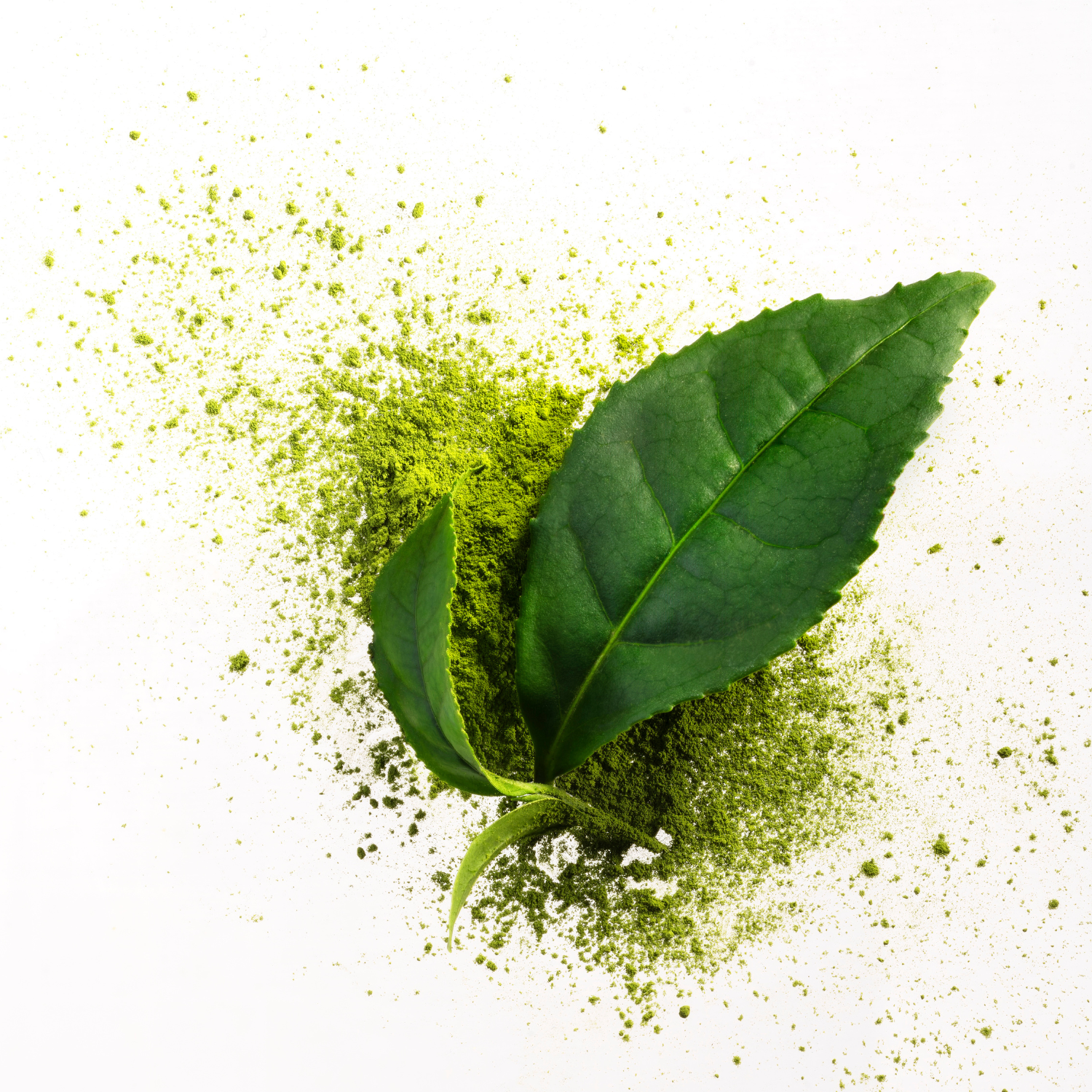 Matcha – dein grüner Energiekick für Bowls und Shakes