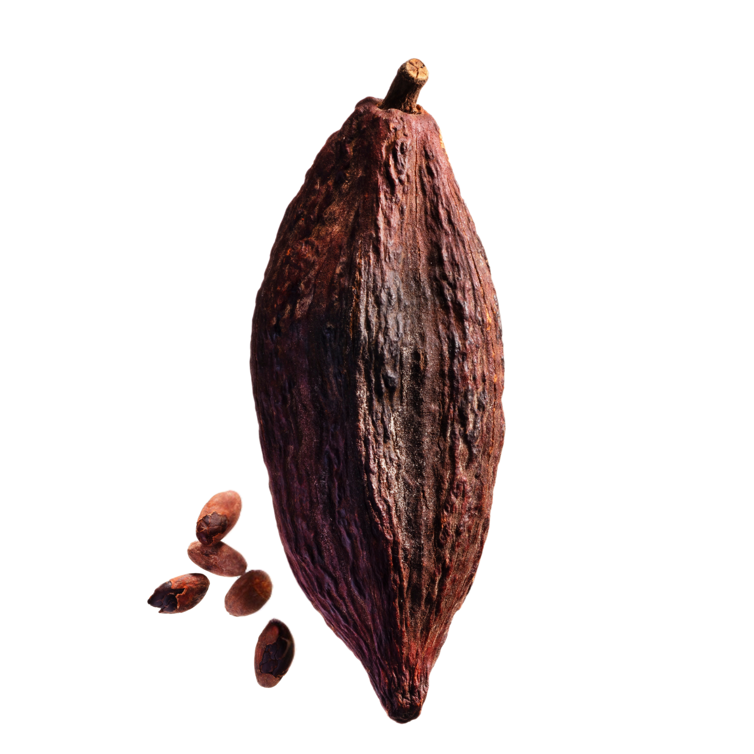 Kakao – Schokoladiger Genuss, der glücklich macht