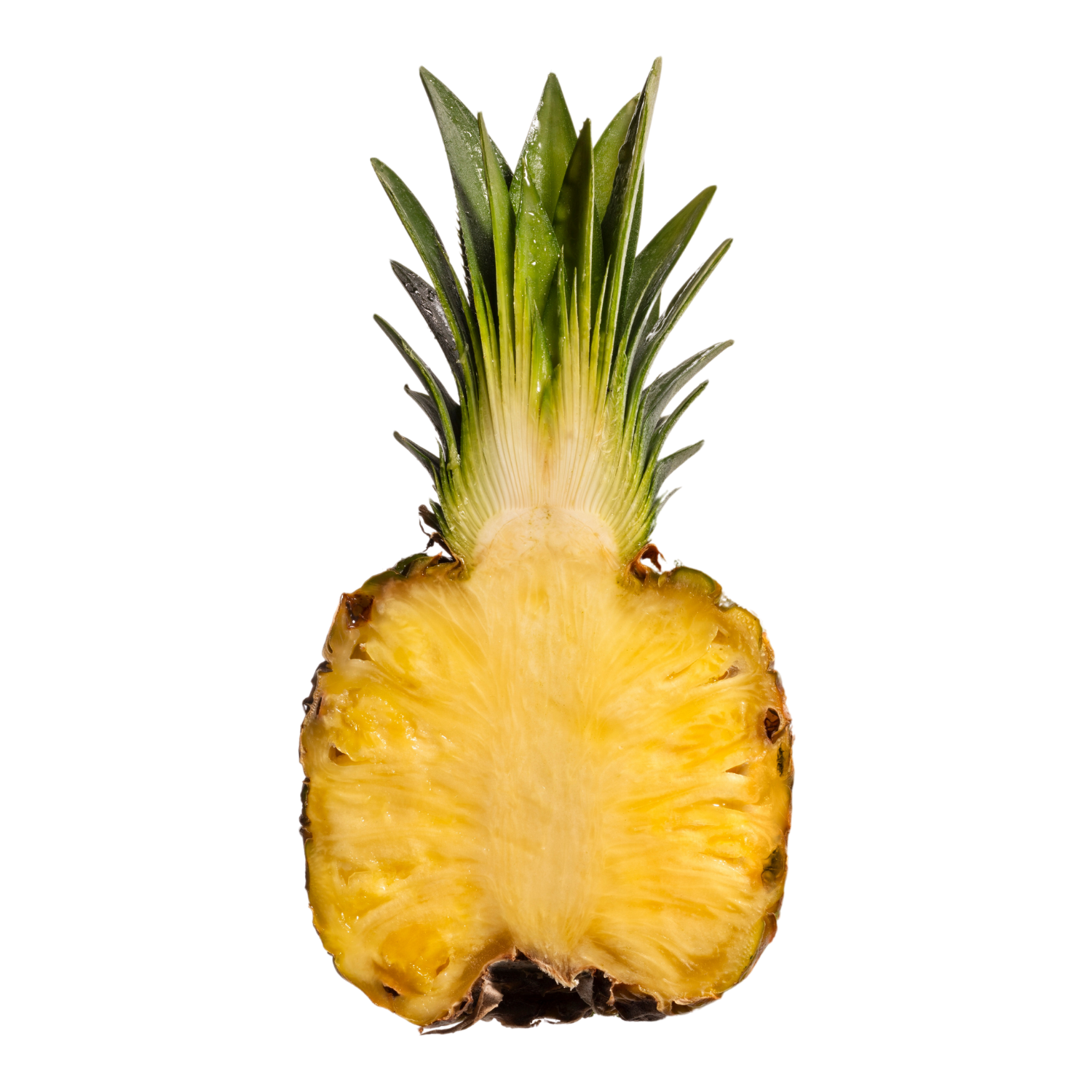 Ananas – die Königin der Tropen