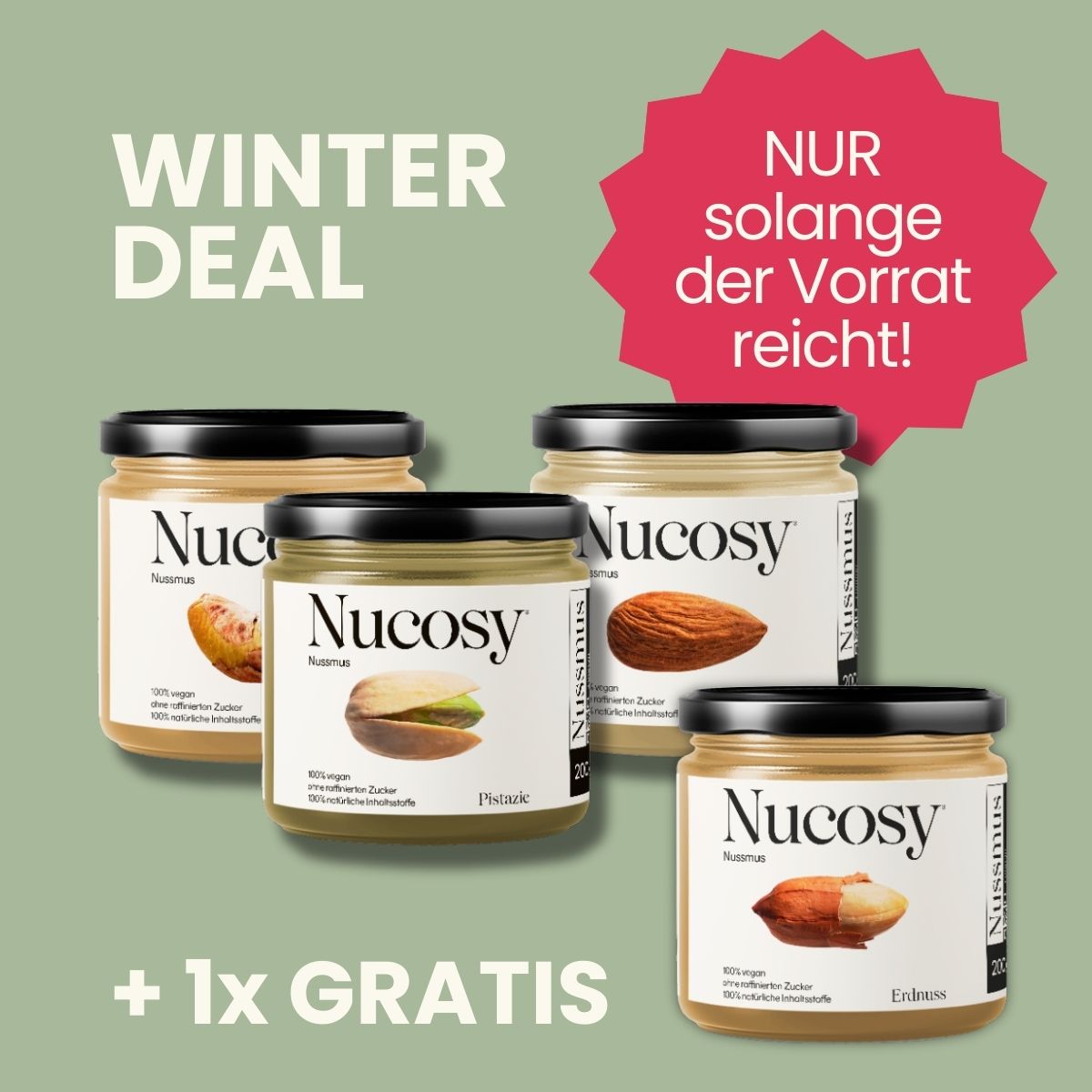 Winter Deal Nussmus