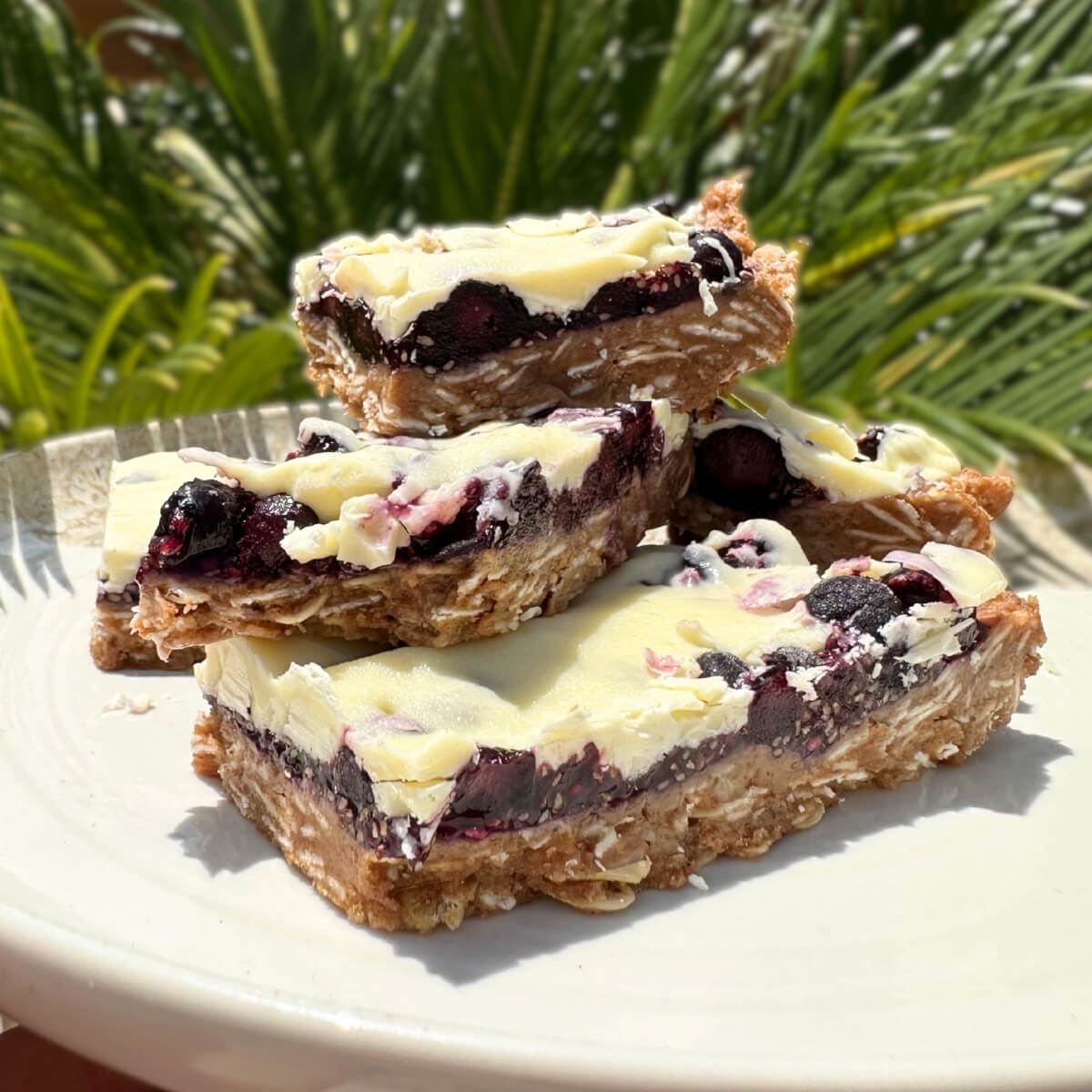 Superfood-Riegel mit Heidelbeeren 